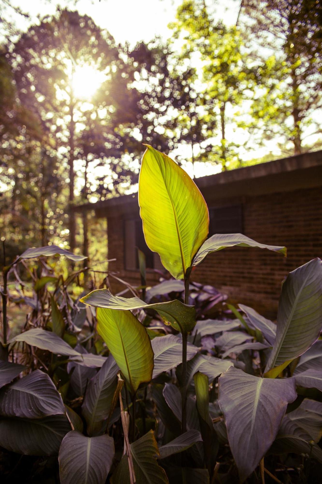 Chalet Viamão Kültér fotó